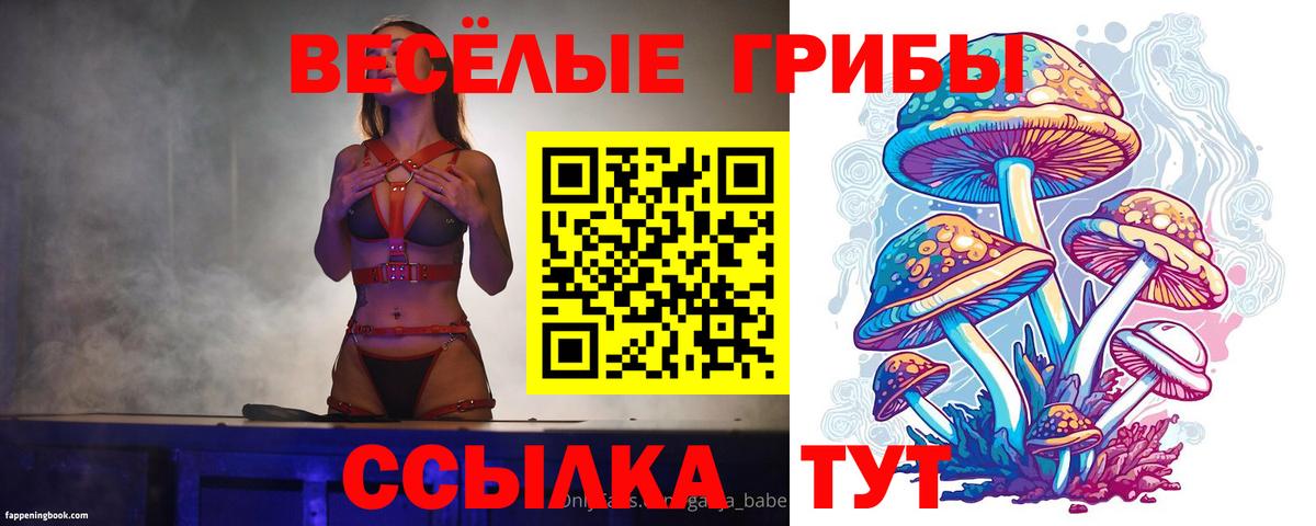 Галлюциногенные грибы ЛСД Железноводск